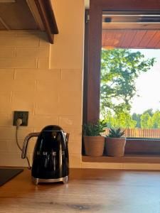 a black tea kettle sitting on a counter next to a window at Między łąką a lasem in Żdżar +52 photos