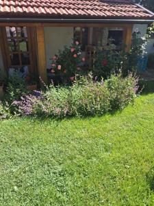 a garden with flowers in front of a house at Soba Gallo in Latin