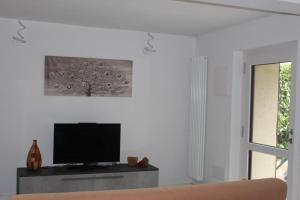 a living room with a tv and a couch at TAVANIs HOUSE in Delebio