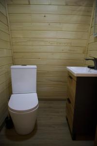 a bathroom with a toilet and a sink at Barnhouse VOLOVETS in Volovets +16 photos
