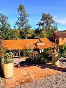 a garden with two large pots of plants at Linha Nova Glamping in Gramado