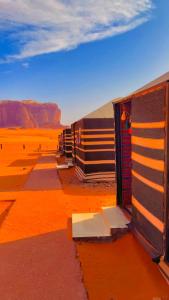 a row of camels parked in the desert at Starry Nights Camp in Wadi Rum