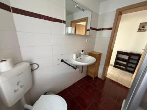 a bathroom with a toilet and a sink at Ferienwohnung am Gothewanderweg in Schwarza +17 photos