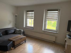 a living room with a couch and two windows at Ferienwohnung am Gothewanderweg in Schwarza