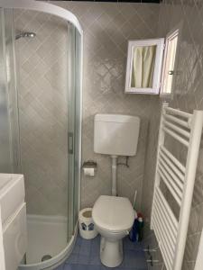 a small bathroom with a toilet and a shower at Smartop Apartment in Forte dei Marmi