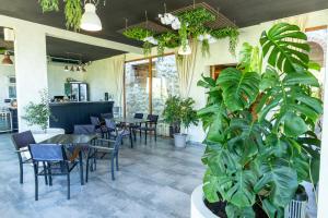 a restaurant with tables and chairs and a plant at Apart & Spa Beganovic in Dobra Voda