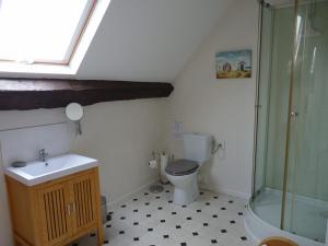 a bathroom with a toilet and a sink and a shower at La Longere in Lonlay-lʼAbbaye +42 photos