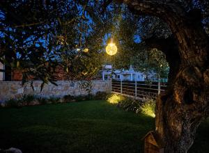 a tree with a light in a yard at night at ΕΝ ΑΛΩ Residences in Kiveri