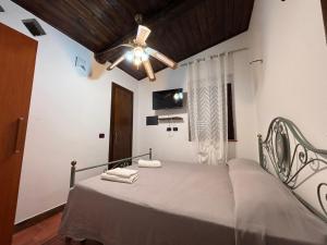 a bedroom with a bed with a ceiling fan at Tenuta Ciaramiti Luxury Garden & Pool in Brattirò