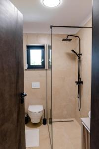 a bathroom with a toilet and a glass shower stall at Mira Montis in Borşa +20 photos