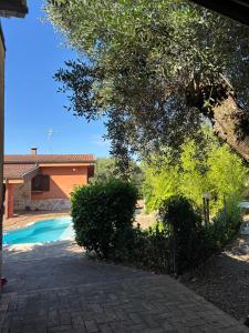 a house with a swimming pool and a tree at Tenuta Ciaramiti Luxury Garden & Pool in Brattirò