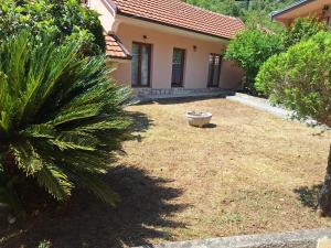 a backyard of a house with a palm tree at Salatić-Lekić apartmani in Čanj +22 photos