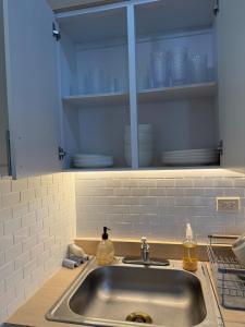 a kitchen counter with a sink and a shelf with dishes at Villa Marelena Beachfront Villa Aguada Near Rincón in Tablonal +23 photos