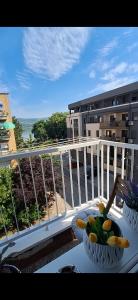 a balcony with two bowls of fruit on a table at Apartman Dejanović 1 in Veliko Gradište +4 photos