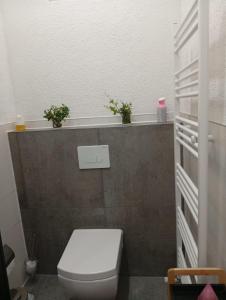 a bathroom with a toilet with two plants on a shelf at FeWoZentrum in Lüdenscheid +14 photos