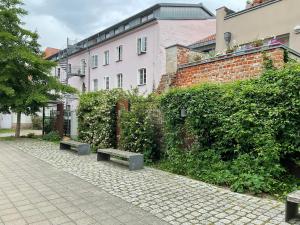 a row of benches on a sidewalk next to a building at Apartment Altstadt Stralsund in Stralsund