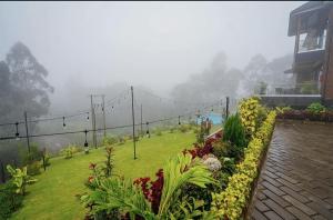 a garden with plants and flowers on a misty mountain at Sharuu Residency in Msaranga