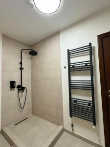 a bathroom with a shower with a shower head at A-frame Noa Cabin in Teşila +25 photos