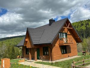 a small wooden house with a black roof at Chata pod Jelenim Skokiem in Cisna