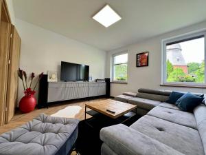a living room with a couch and a tv at Apartament Pod Wiatrakiem in Bęsia