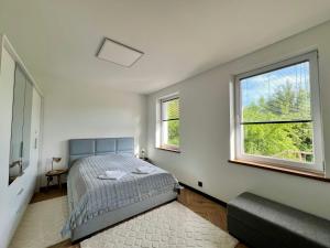 a bedroom with a bed and two windows at Apartament Pod Wiatrakiem in Bęsia +18 photos