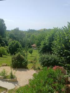 a garden with bushes and trees in the background at Gite Atchoum in Hostun