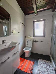 a bathroom with a toilet and a sink and a window at Apartments Helena Pomer in Pomer +55 photos