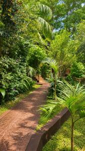 a brick path in a park with trees and plants at Hospedaje Los Vencejos in Puerto Iguazú