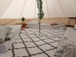 a room with two beds and a tree in a tent at Żeremie Jurki Camp in Jurki +15 photos