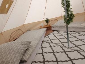 a couple of beds in a tent at Żeremie Jurki Camp in Jurki