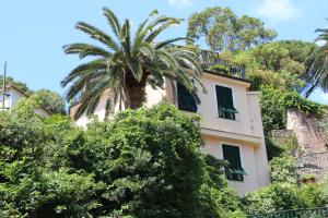 a palm tree in front of a building at Hotel Argentina in Santa Margherita Ligure