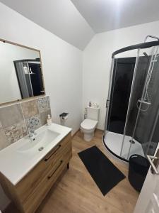 a bathroom with a shower and a sink and a toilet at Le refuge des coteaux in Trelou Sur Marne