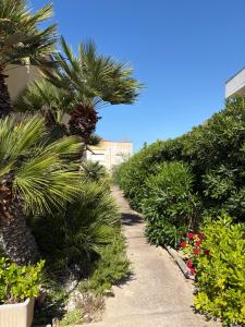 a garden with palm trees and flowers on a sidewalk at Castelsardo Homes in Castelsardo