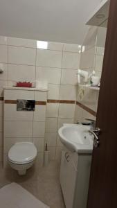 a bathroom with a toilet and a sink at SOBE Svilajnac in Svilajnac +8 photos