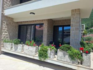 a row of potted plants in front of a building at Bananas in Kumbor