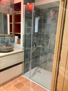 a bathroom with a shower and a sink at Appartement à colombages indépendant avec piscine partagée avec le proprietaire in Ponsan-Soubiran +17 photos