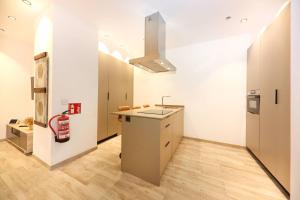 a kitchen with a sink and a counter in a room at Domus Halo F in Pamplona +19 photos