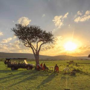 a group of people sitting around a table under a tree at Sunshine maasai mara safari camp in Sekenani +37 photos