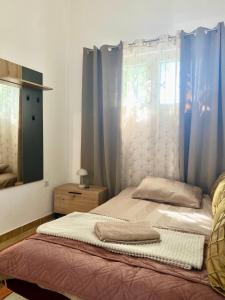 a bedroom with a bed with blue curtains and a mirror at Villa Radis in Dobra Voda