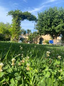 a field of grass with flowers in the foreground at Un Passo Dal Mare in Lido di Fermo