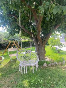 a swing in the grass next to a tree at Un Passo Dal Mare in Lido di Fermo +26 photos