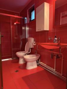 a red bathroom with a toilet and a sink at Casa Mario in Dragoslavele +48 photos