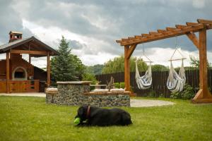 a black dog laying in the grass with a ball in its mouth at Bizon Cabin in Albeștii de Muscel