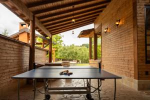 a ping pong table on the patio of a house at Bizon Cabin in Albeștii de Muscel