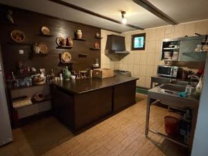 a large kitchen with a counter and a sink at Casa Mario in Dragoslavele