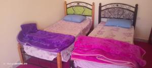 two beds in a room with purple sheets at Camping Imdghas in Tilmi