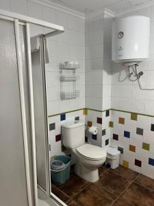 a small bathroom with a toilet and a shower at Esencia plaza in Hornos