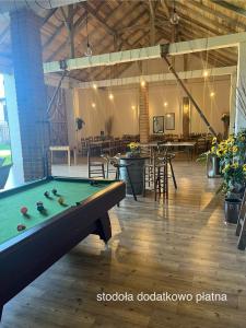 a pool table in the middle of a room at Agroturystyka Smulsko in Przykona