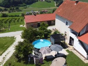 an aerial view of a house with a swimming pool and umbrellas at Apartma Martin in Miklavž pri Ormožu