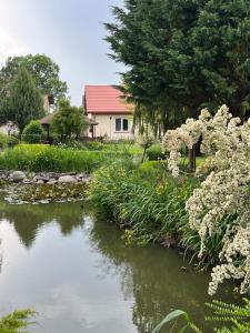 a pond with white flowers in front of a house at Agroturystyka Smulsko in Przykona